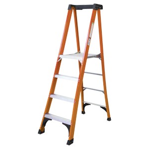 Specialty Ladder Platform Specialty Ladder Platform